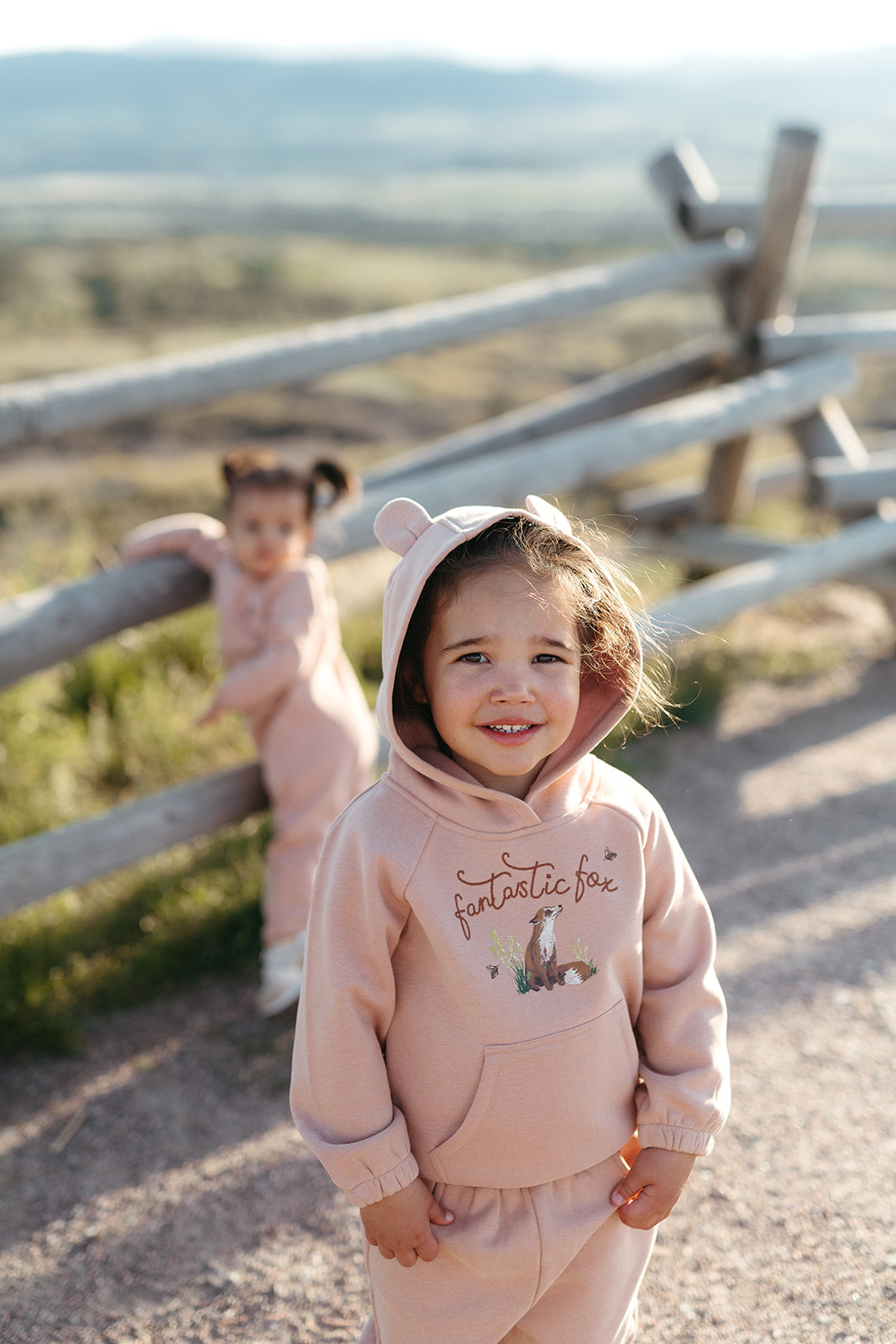 Dusty Rose Bear Ear Hoodie
