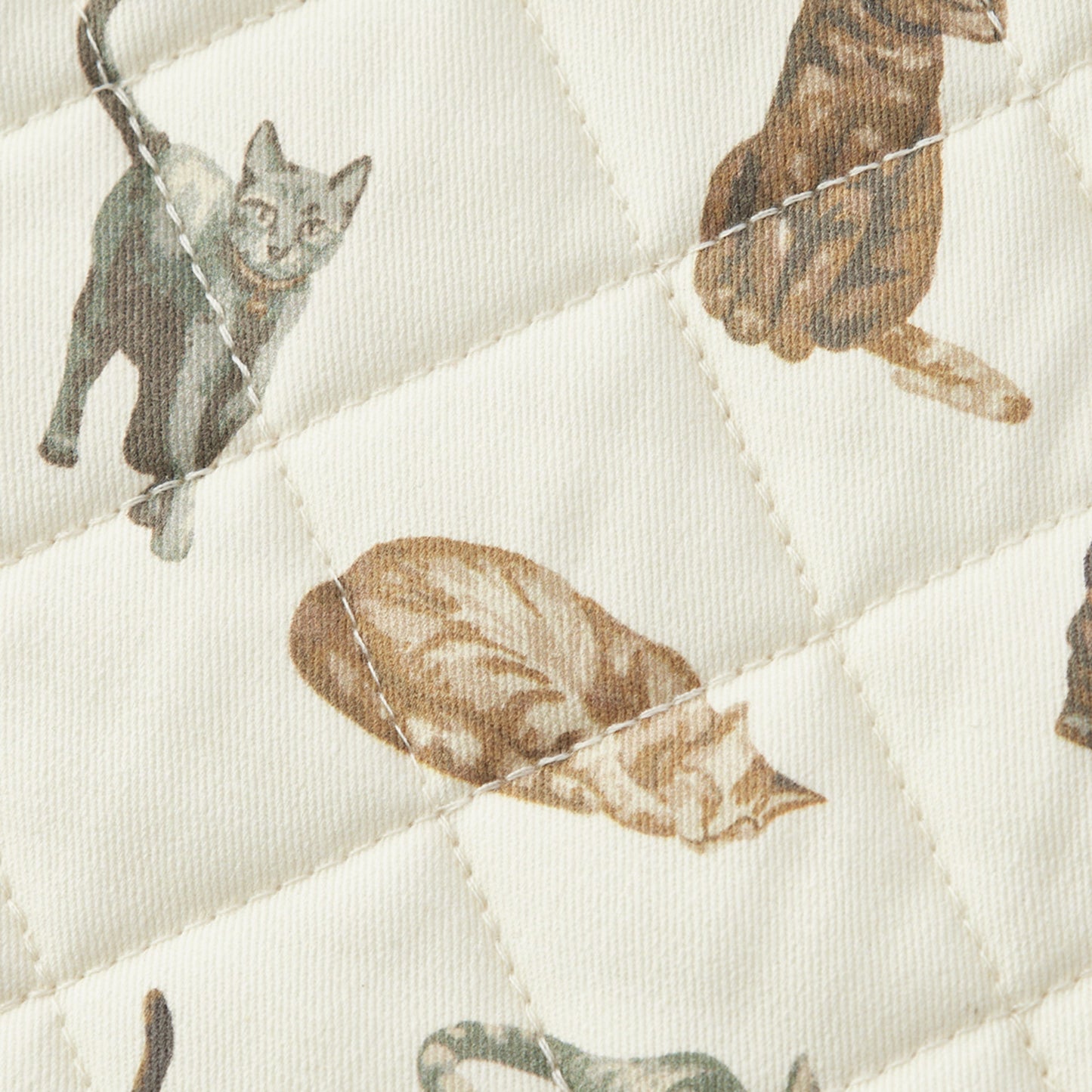 Cat Hot Pad Set