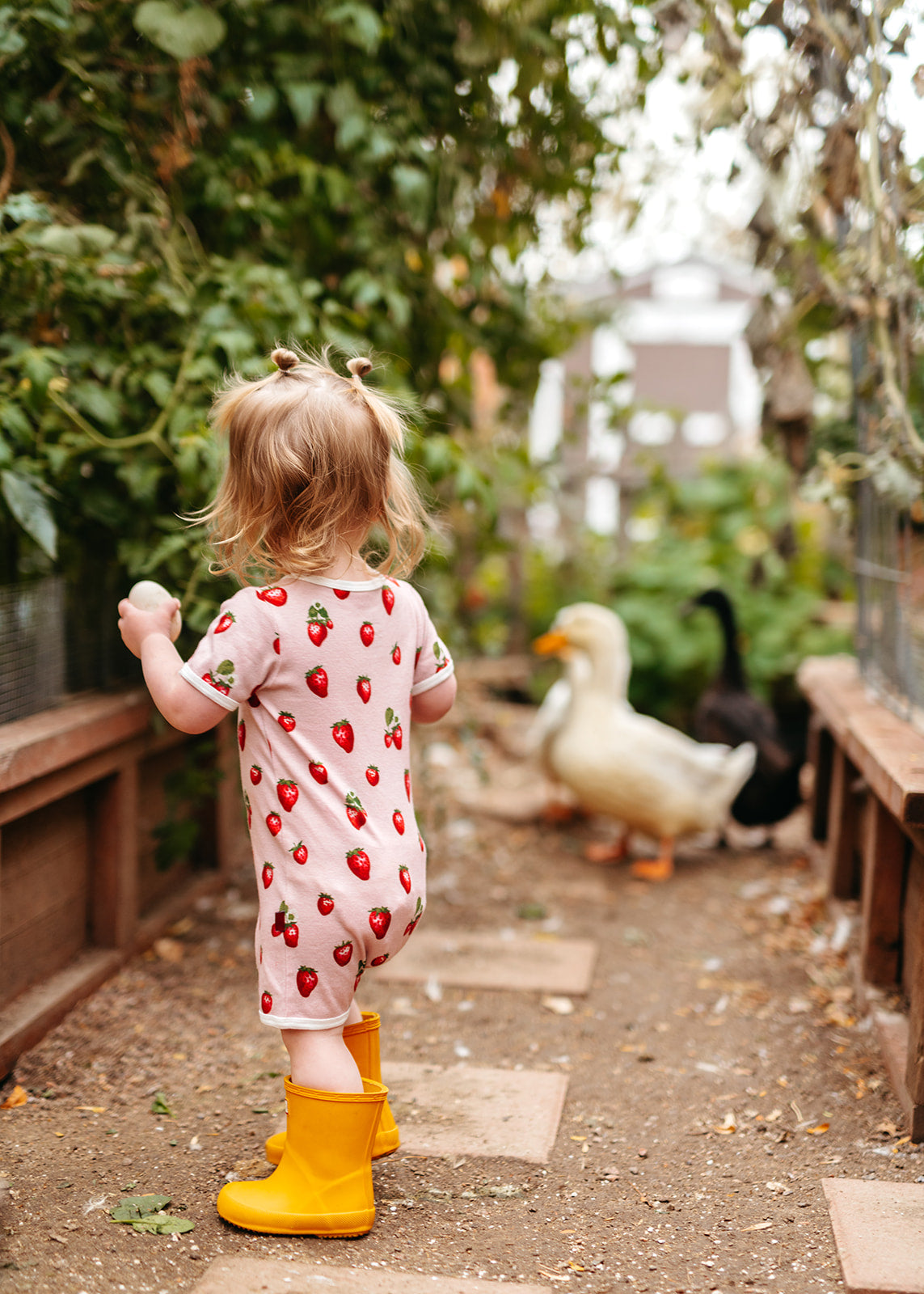 Aloe Luxe Solid Shortall