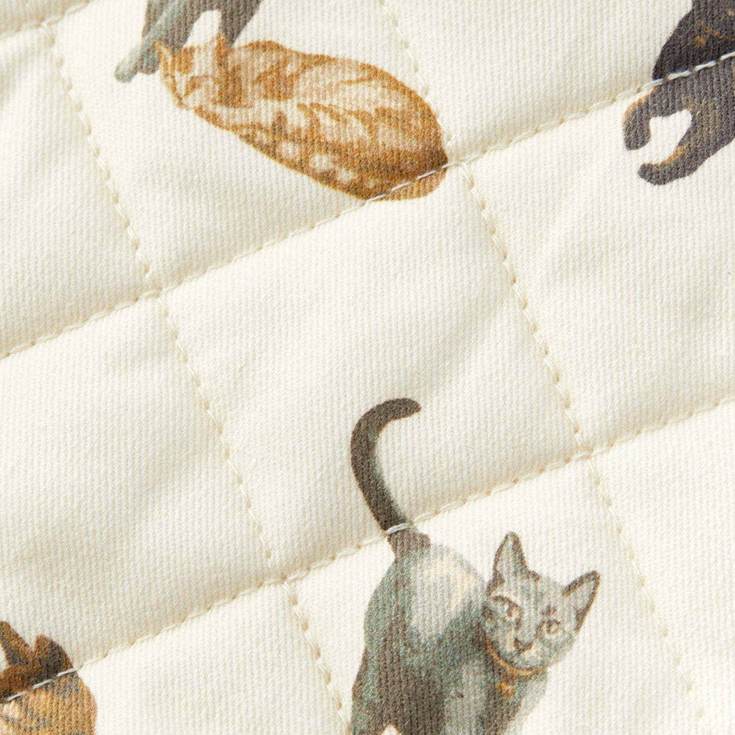 Cat Oven Mitt Set