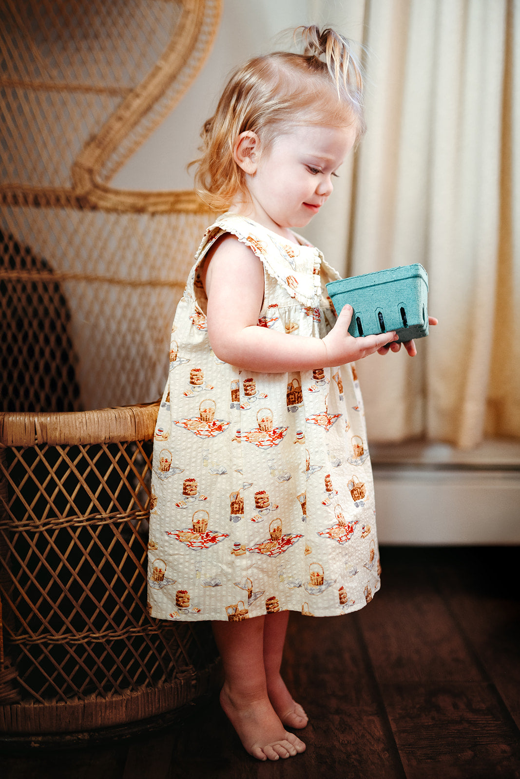 Picnic Ruffle Collar Dress