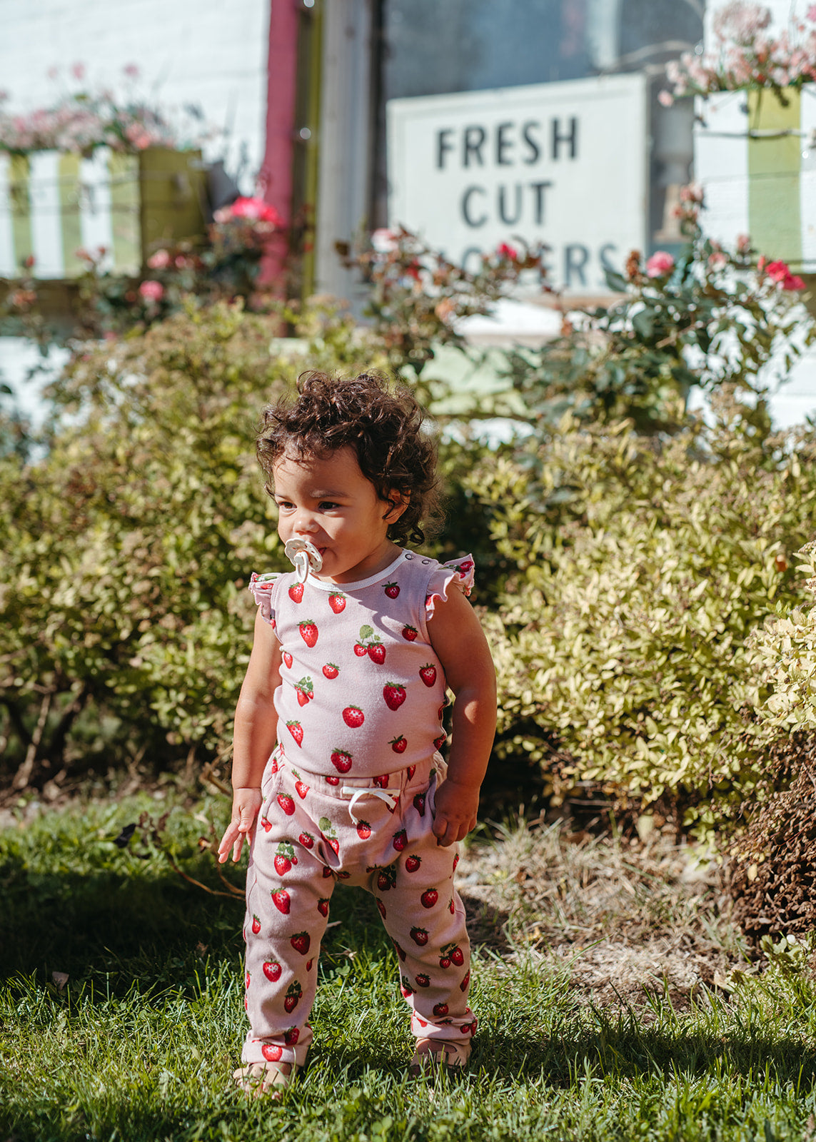 Milkbarn Kids Organic Cotton Cotton Ruffle One Piece baby Apparel One Piece in Strawberry fabric Picture