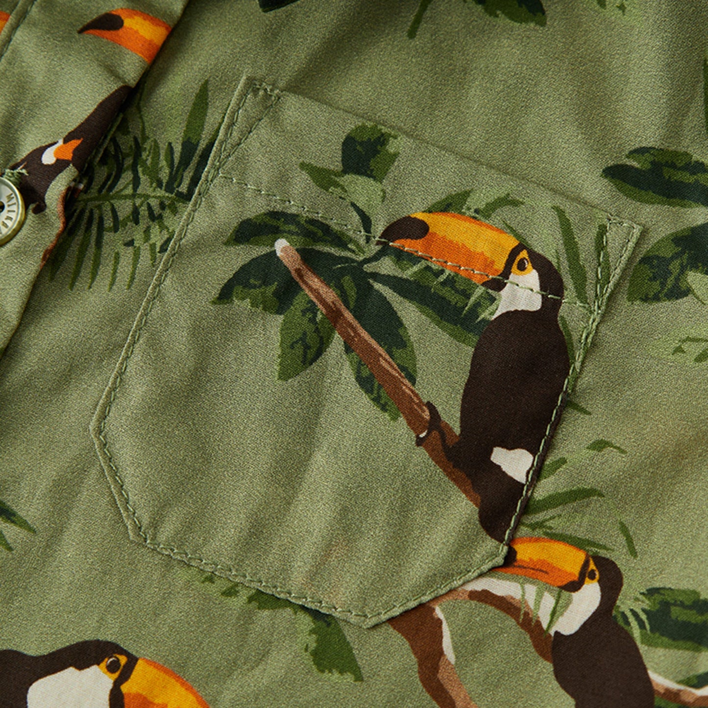 Toucan Collared Shortall