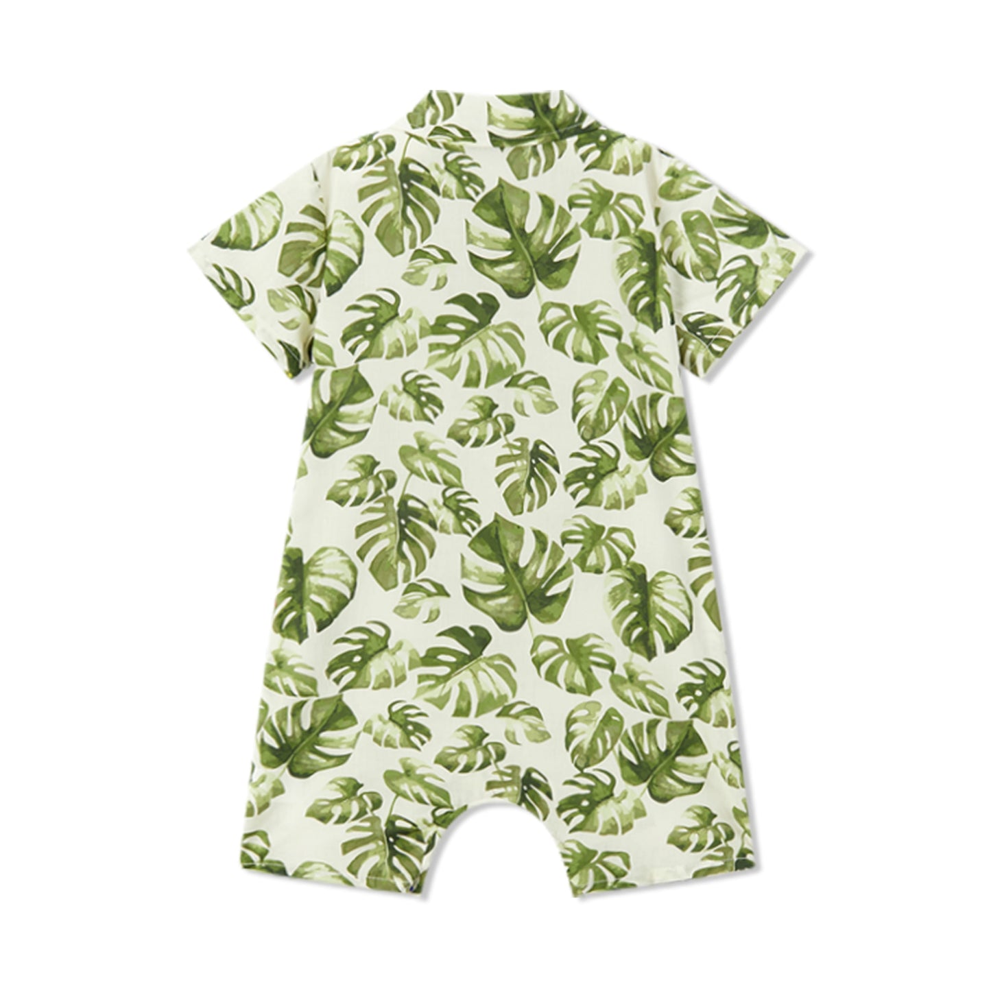 Island Leaf Collared Shortall