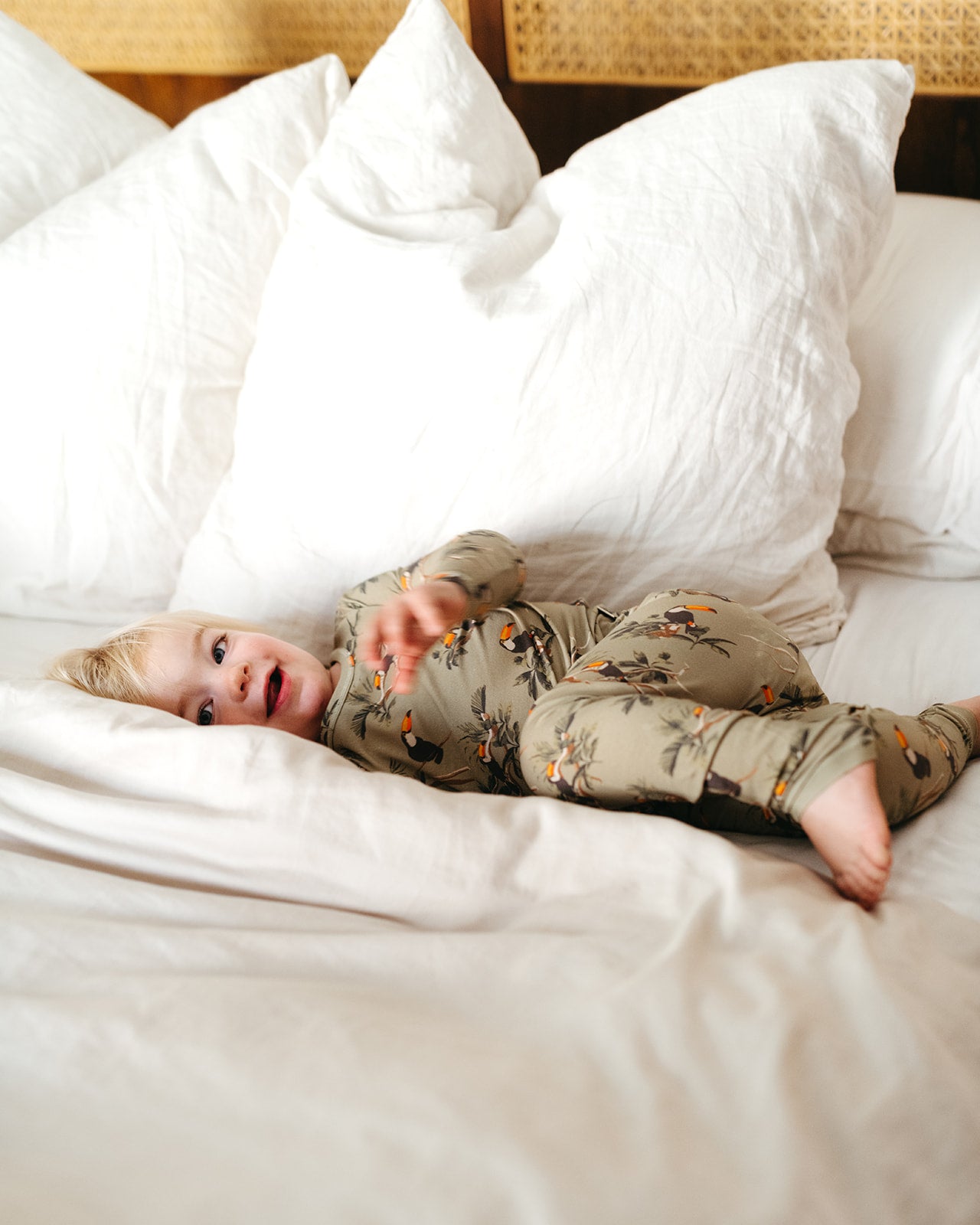 Toucan Cotton Stretch LS Two Piece Pajama Set