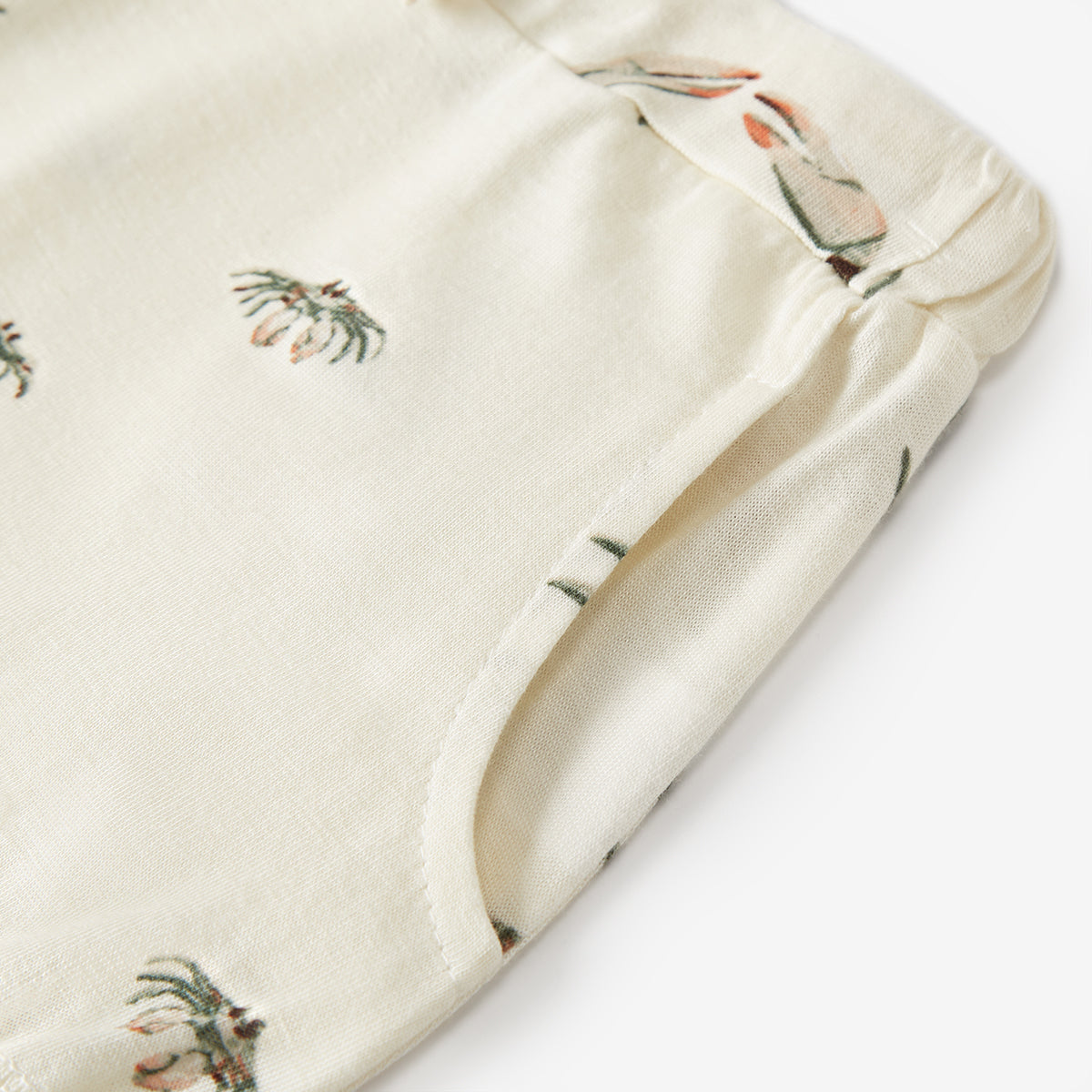 Coastal Crab-23145
