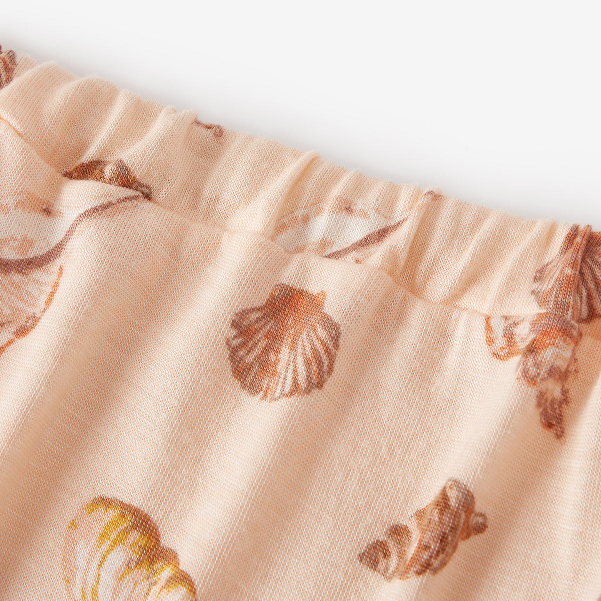 Seashells-25146