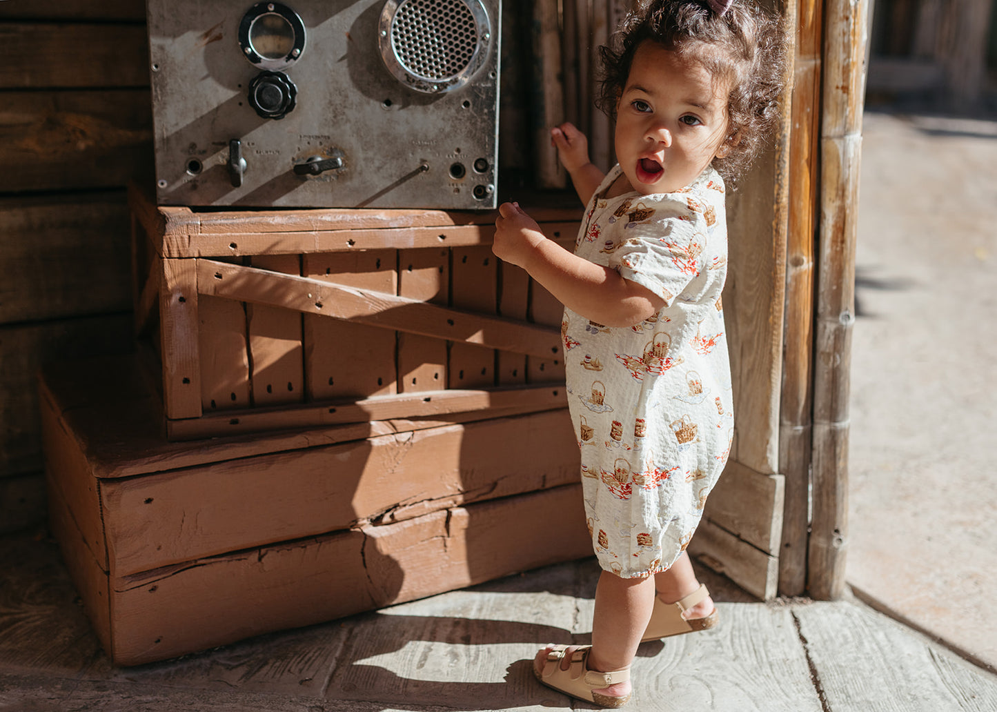 Picnic Snap Shortall