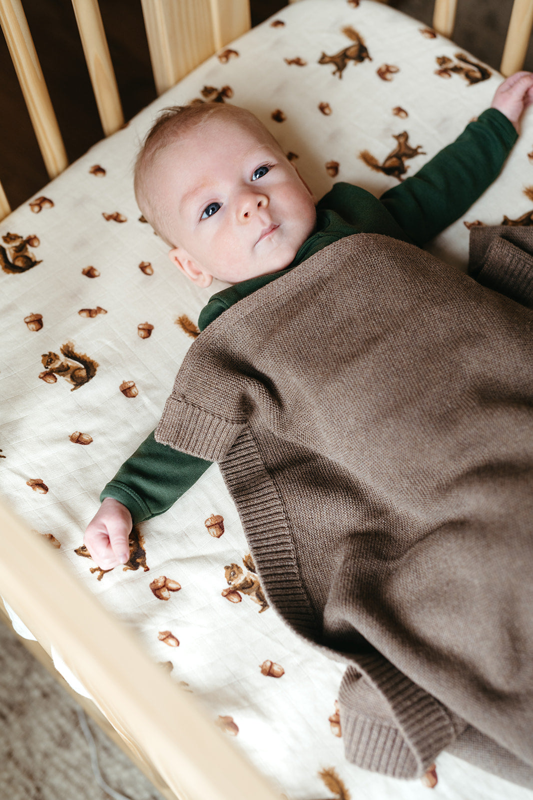 Chipmunk Bamboo Crib Sheet
