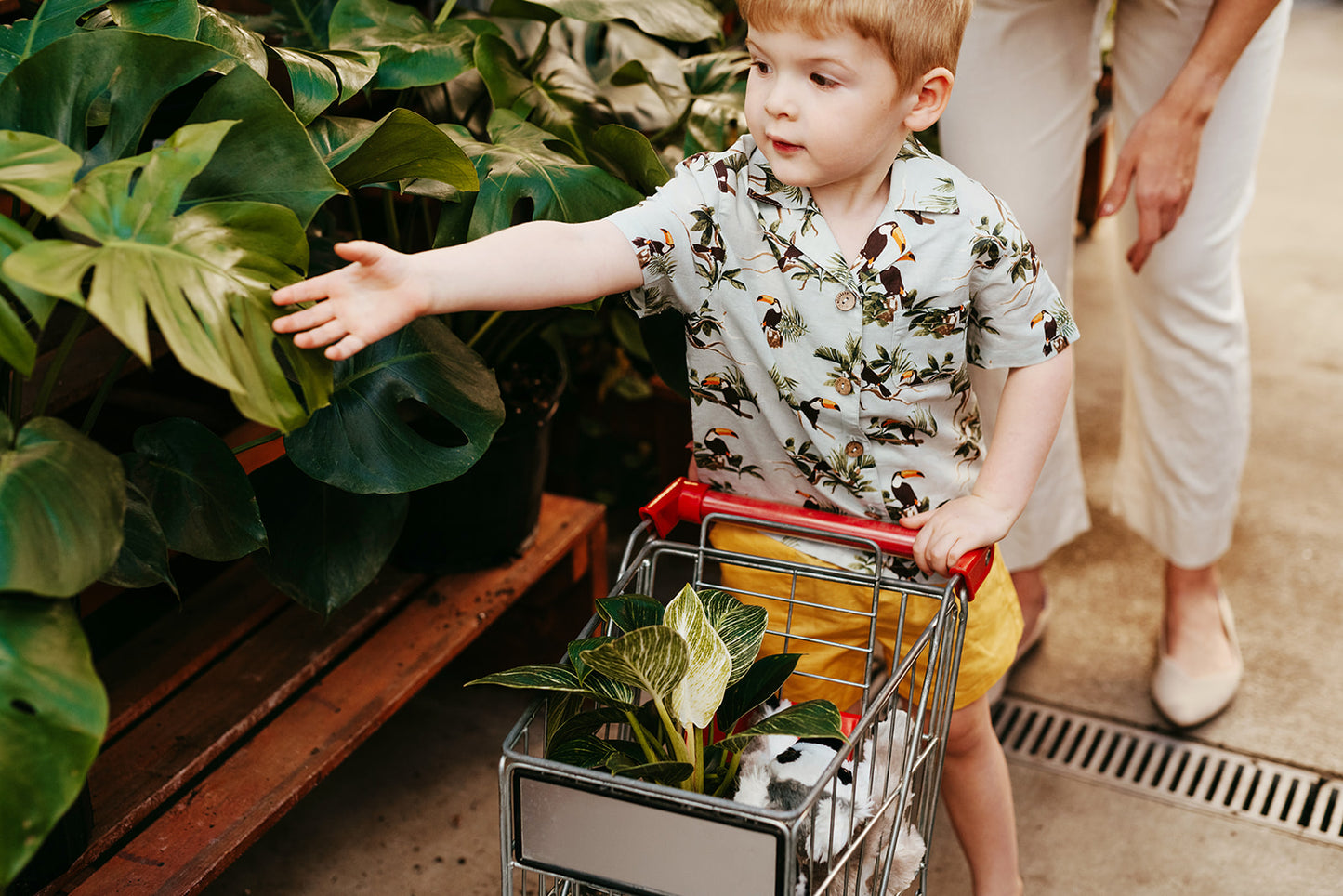 Blue Sky Toucan Linen Button-Up Shirt and Shorts Set