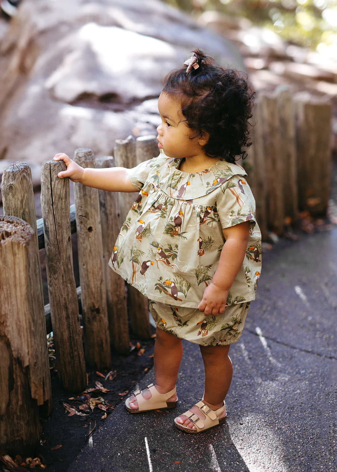Toucan Butterfly Ruffle Dress & Bloomers