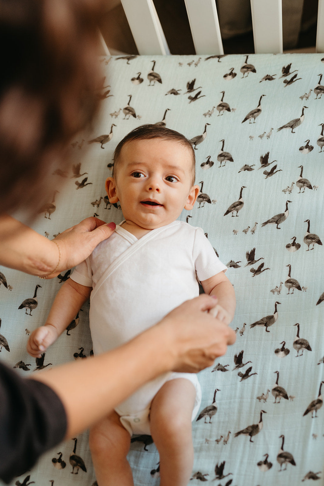 Goose Bamboo Crib Sheet