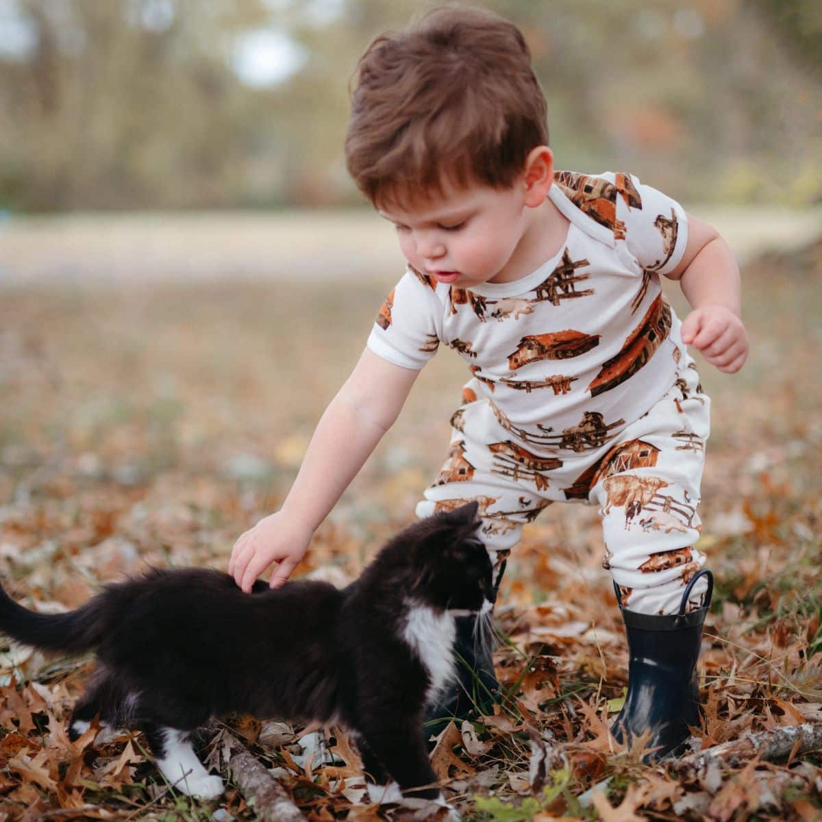 Baby boy in a field petting a black and white cat while wearing the Homestead Organic Short Sleeve One Piece and matching Jogger Pants by Milkbarn