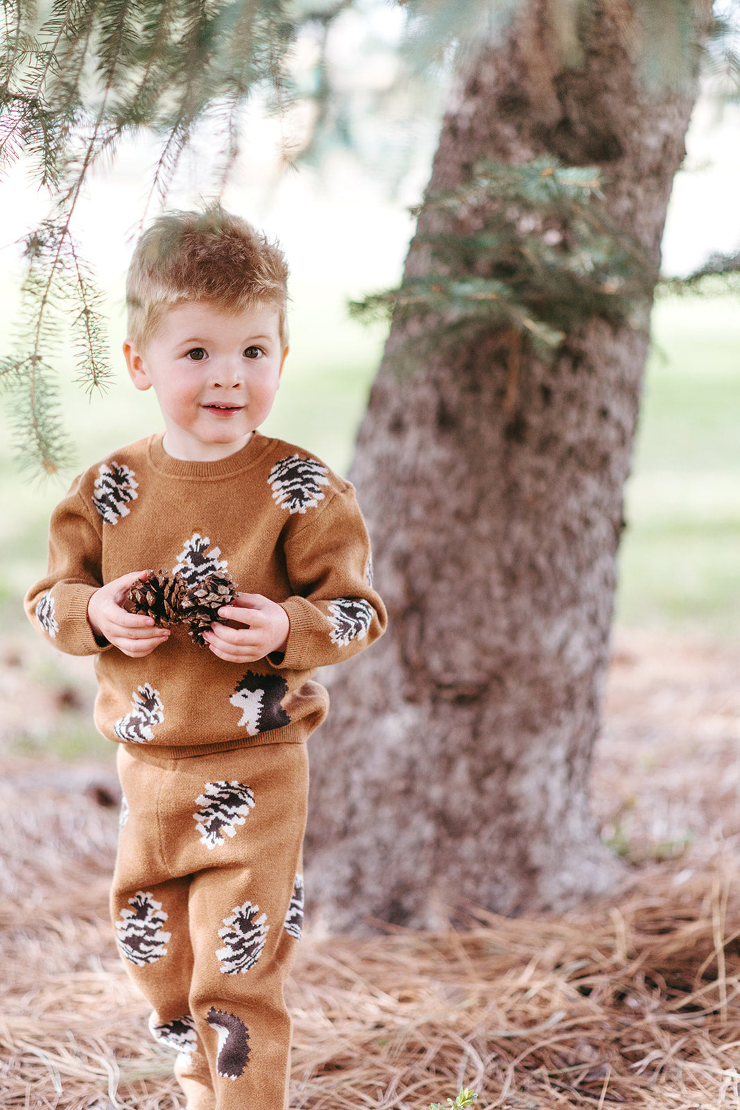 Pinecone & Hedgehog Knitted Birdseye Jacquard Sweater