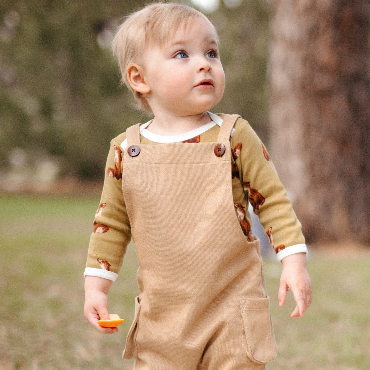Baby boy outside on a picnic blanket wearing the Rust Denim Overalls and Gold Fox Long Sleeve One Piece and holding the honeycomb and honey bear mini lovey by Milkbarn