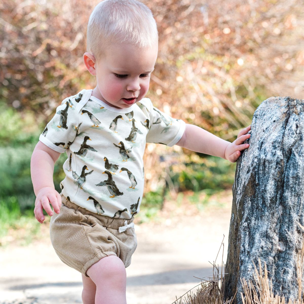 Little boy outside leaning on a big rock and wearing the rust denim pocket bloomers and the short sleeve organic one piece in the duck print by Milkbarn