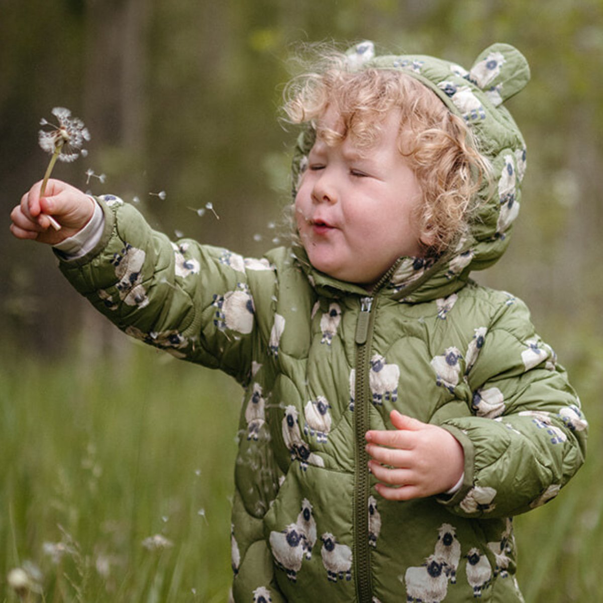 Little baby toddler holding a dandelion and closing their eyes while wearing Valais Sheep Lightweight Down Hooded Jacket