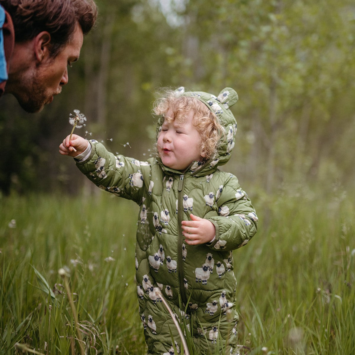 Little toddler out in a green field of dandelions holding out a dandelion to the toddler's Dad and closing the eyes while wearing the Valais Sheep Lightweight Down Quilted Hooded Jumpsuit