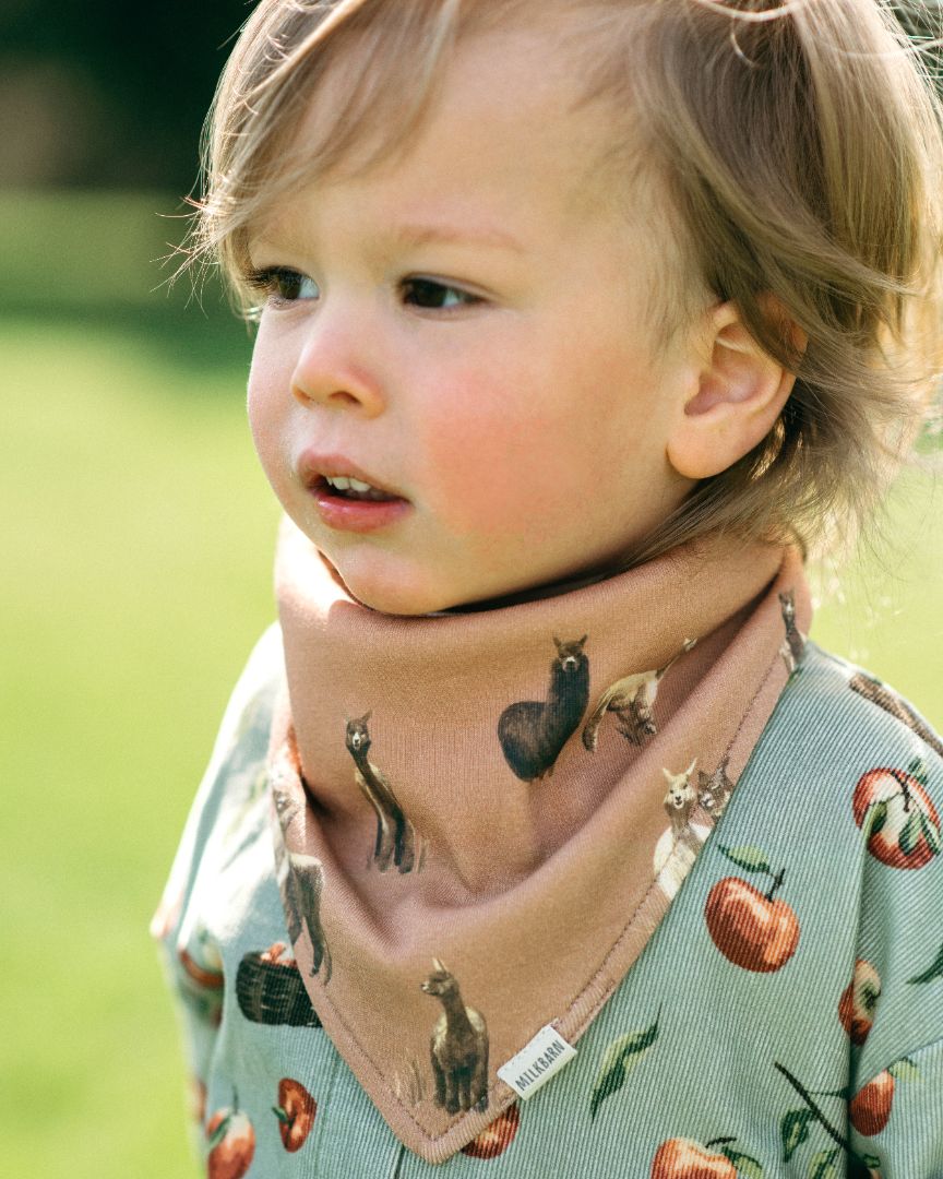 Alpaca Organic Cotton Kerchief Bib