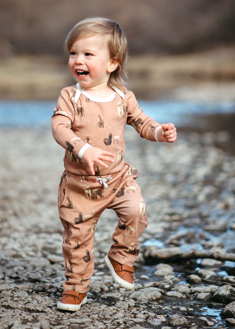 Alpaca Organic Cotton Jogger Pants