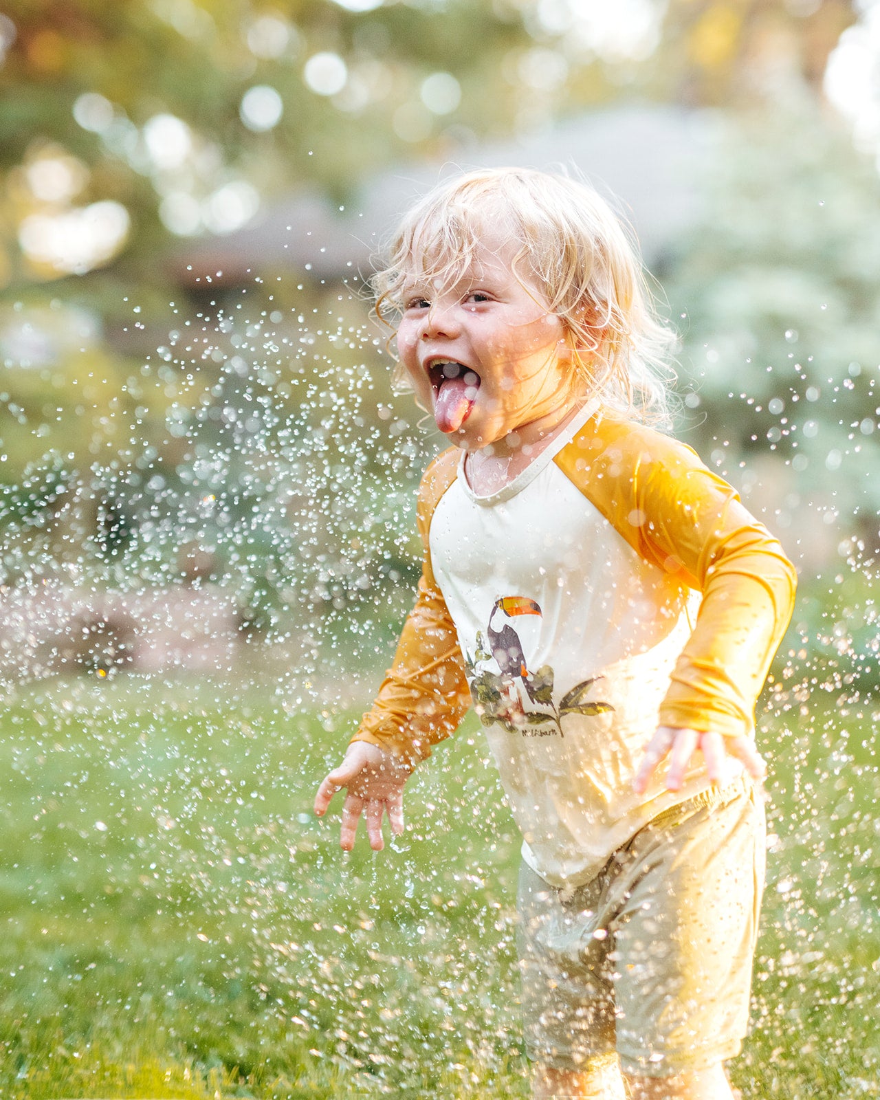 Boy playing in backyard sprinkler wearing Milkbarn Island Toucan long-sleeve shirt and trunks swim set, mouth open catching water, joyful kids summer swimwear moment.