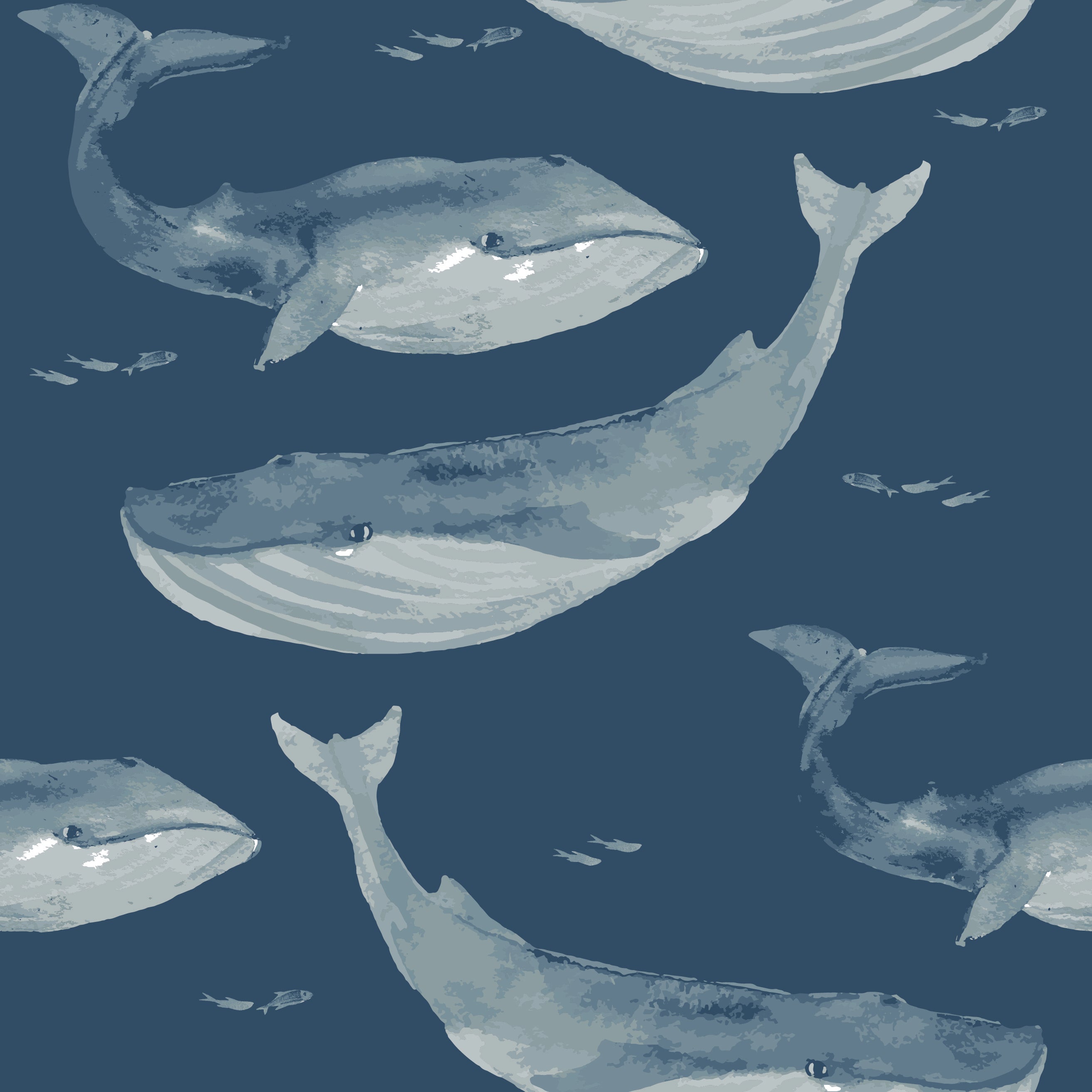 Blue Whale Print