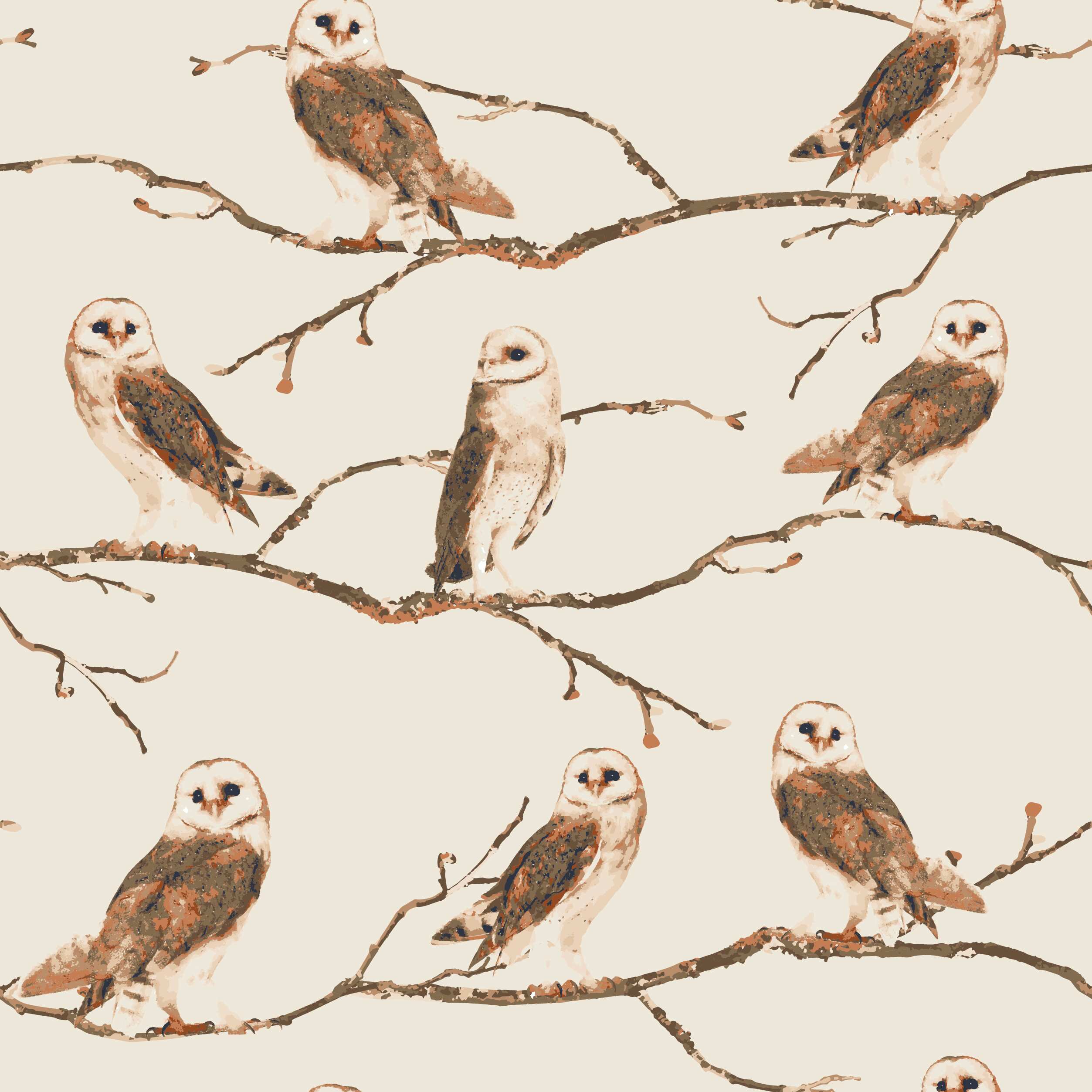 Owl Print