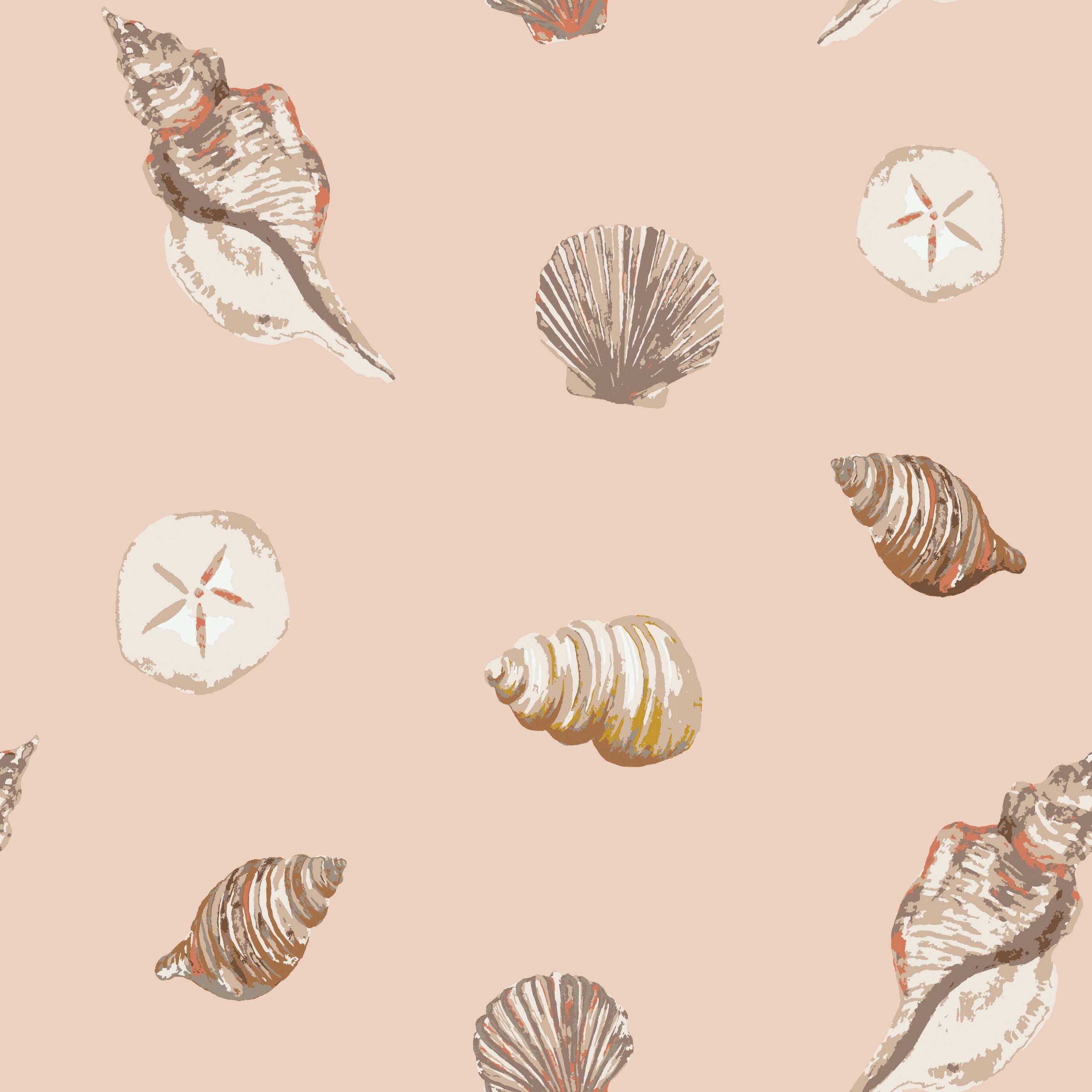 Seashells Print