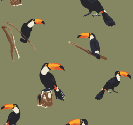 Toucan Print
