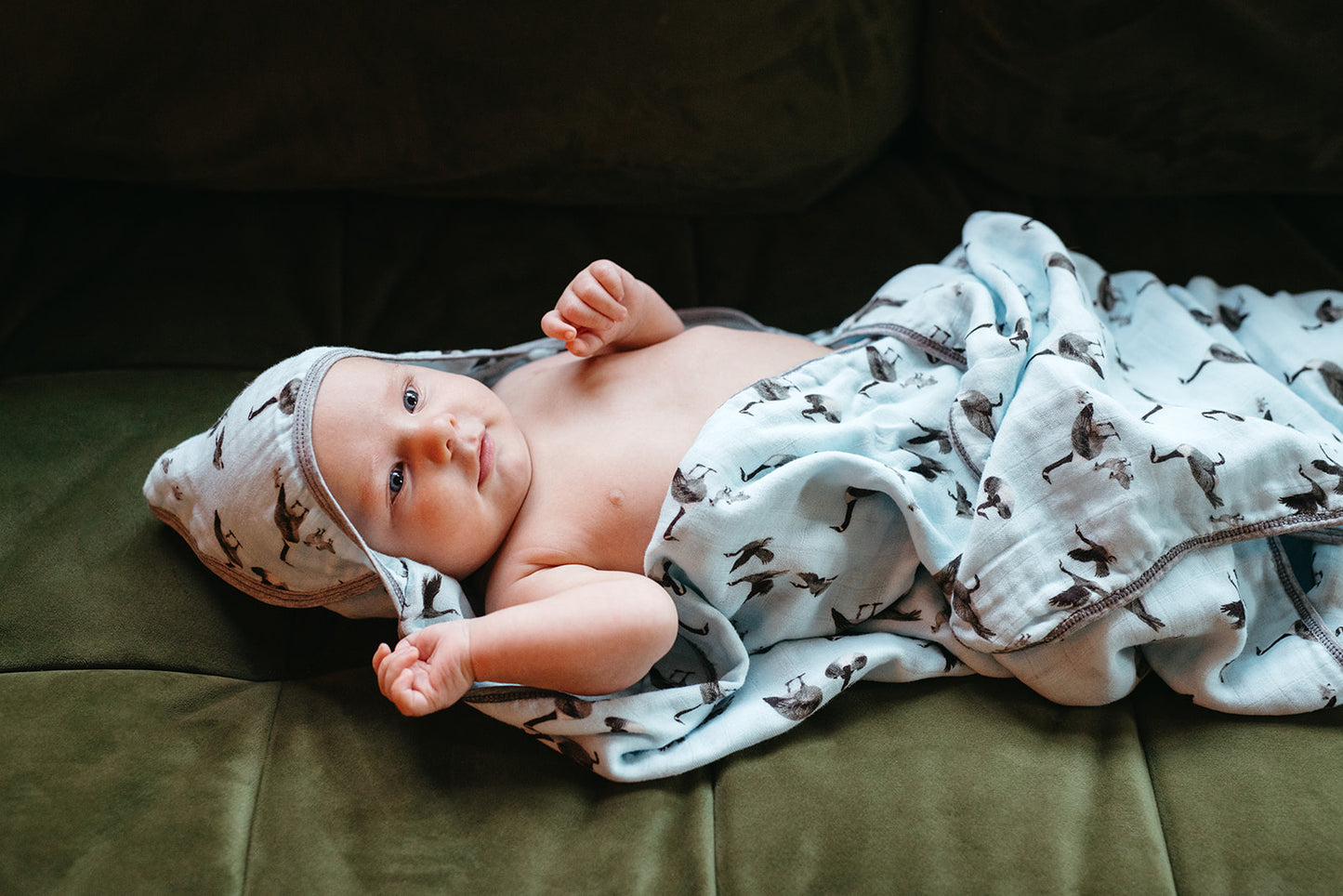 Strawberry Organic Hooded Swaddle Blanket