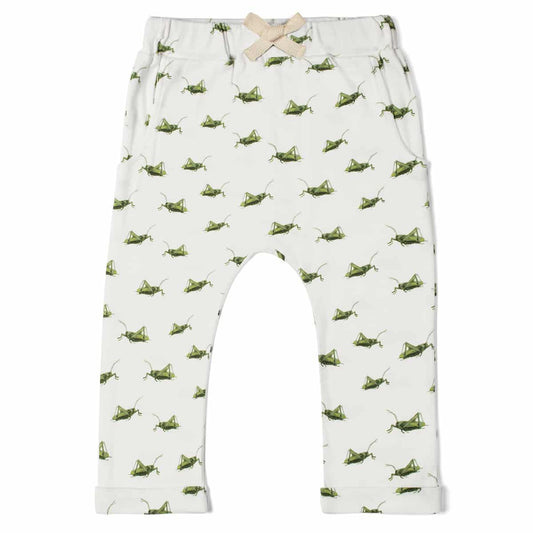 Grasshopper Organic Jogger Pant Front