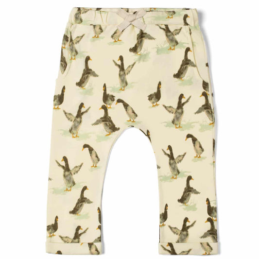 Duck Organic Jogger Pant Front