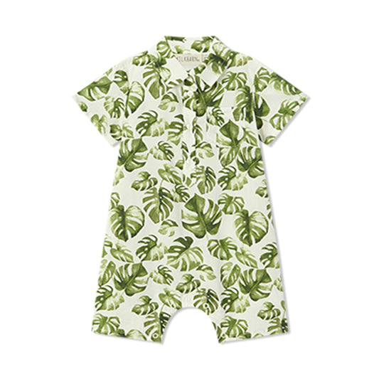 Island Leaf Collared Shortall