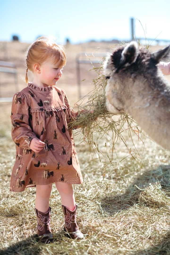 Alpaca Corduroy Dress & Bloomer