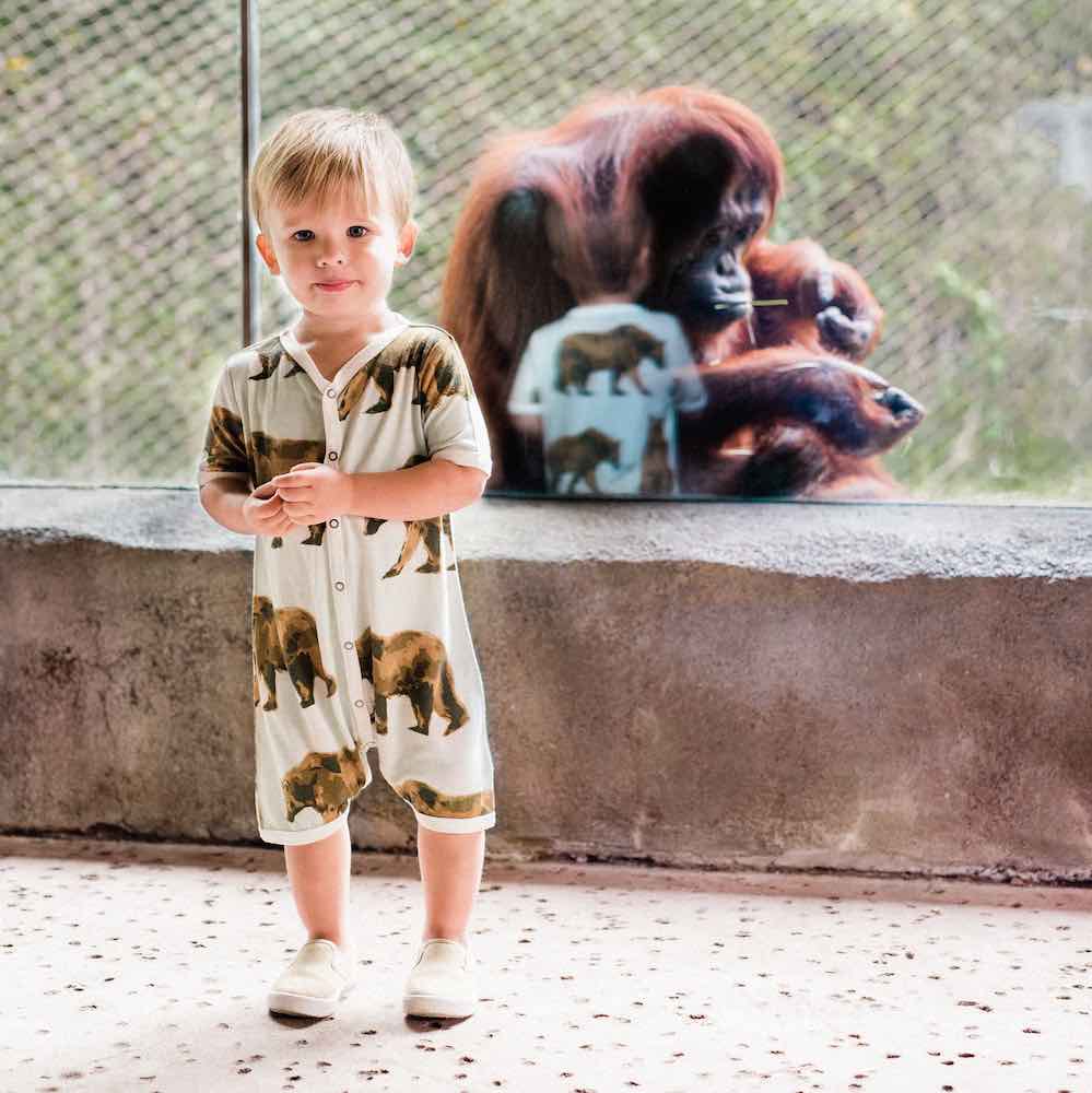 Little Boy at the Zoo in Front Of a Monkey Wearing A Bamboo Shortall or Jumpsuit with the Bear Print by Milkbarn Kids