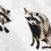 Raccoon Print by Milkbarn Kids