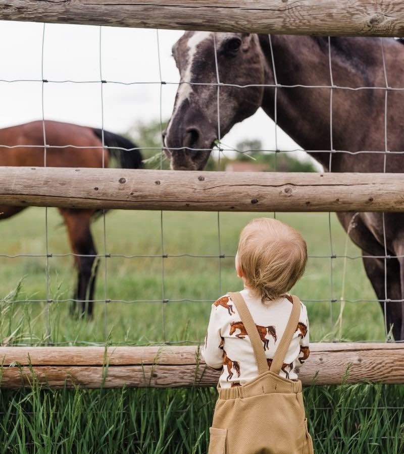 Wholesale SaleLittle Boy in a Horse Field Wearing the Rust Denim Overalls and Organic Long Sleeve One Piece in the Natural Horse Print by Milkbarn Kids