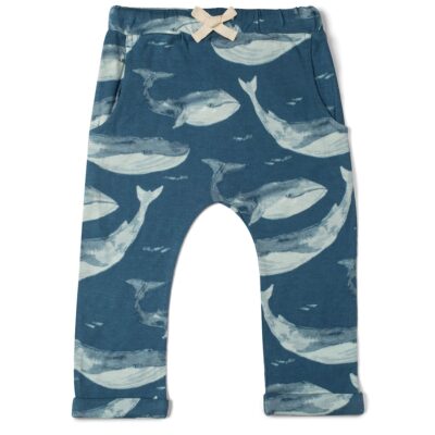 Blue Whale Bamboo Jogger Pant Front