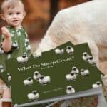 Baby girl standing in a field with a sheep wearing the dress and bloomer set in the Valais Sheep print by Milkbarn with the matching children's book cover of What Do Seep Count? by Rory Feek with illustrations by Haley Hunt for Milkbarn Kids