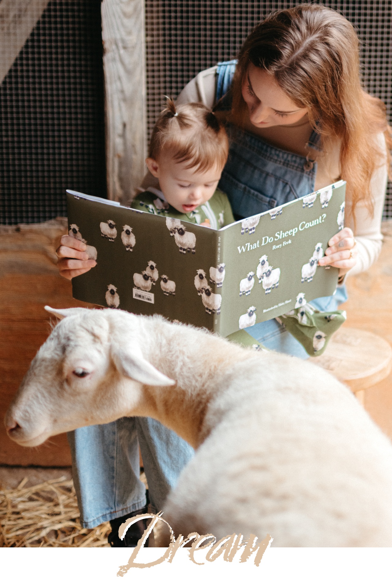 A sheep and a Baby girl holding the book, What do Sheep Count by Rory Feek with Illustrations by Haley Hunt for Milkbarn