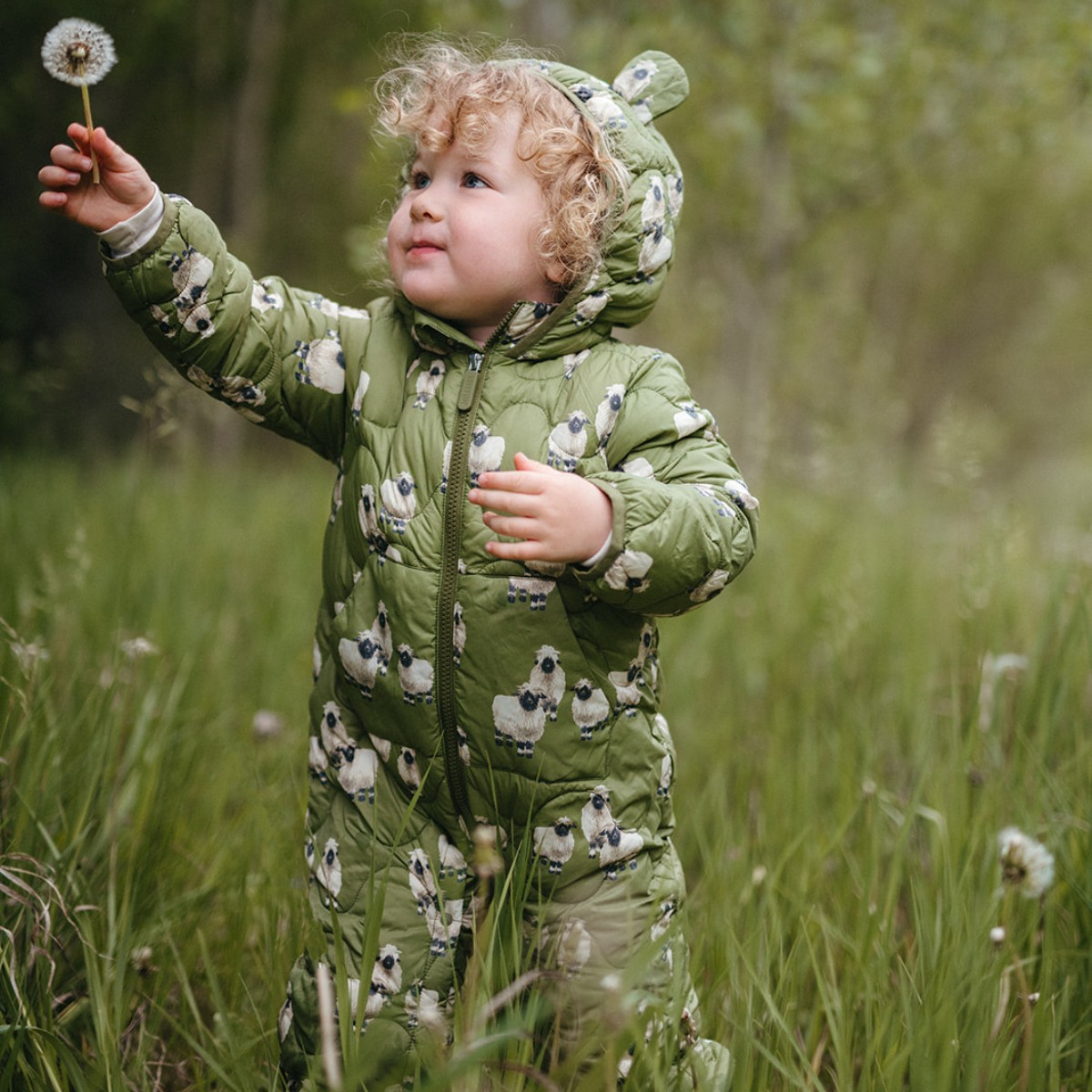 Little toddler out in a green field of dandelions reaching for a dandelion while wearing the Valais Sheep Lightweight Down Quilted Hooded Jumpsuit