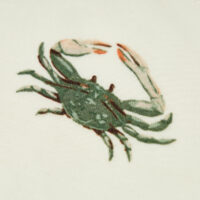 Coastal Crab-41145