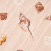 Seashells-63146